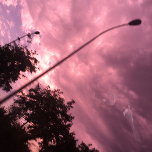 免费一级毛片毛多水多
