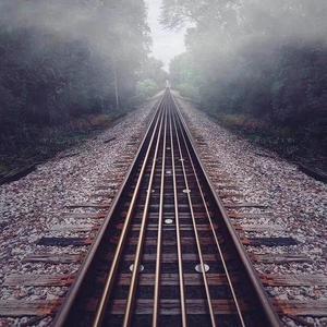 免费一级毛片毛多水多
