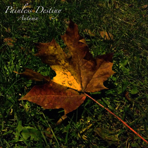 免费一级毛片毛多水多
