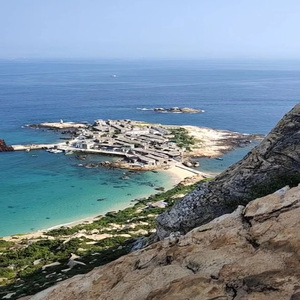 免费一级毛片毛多水多
